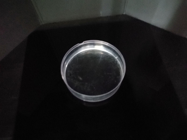 ���Ҷ���400