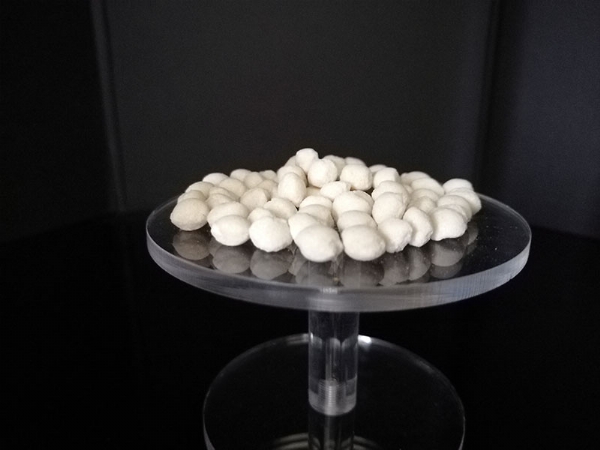 ��ѩ������1