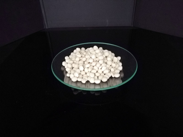 ��ѩ������