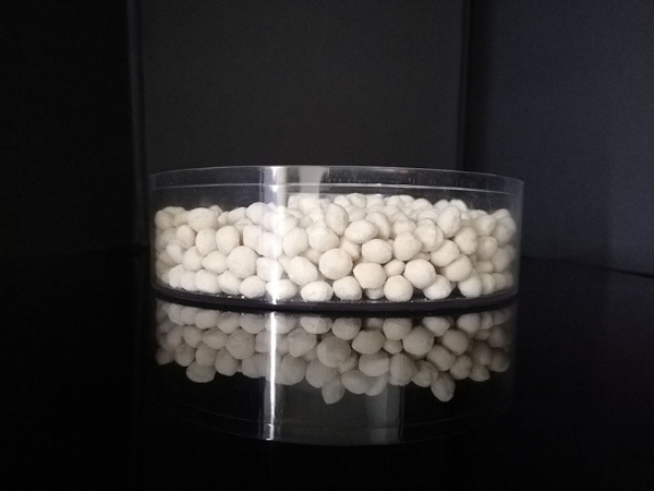 ��ѩ������8