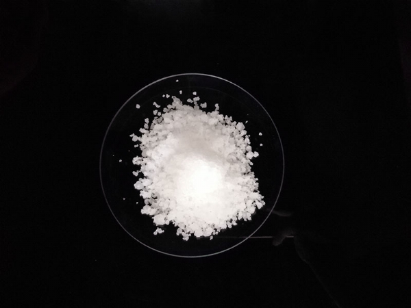 ��ѩ������1