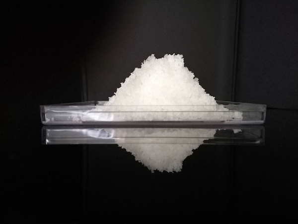 ��ѩ������