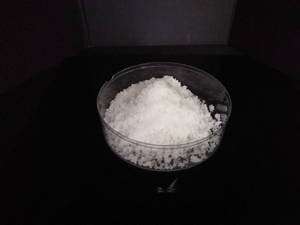 ��ѩ������