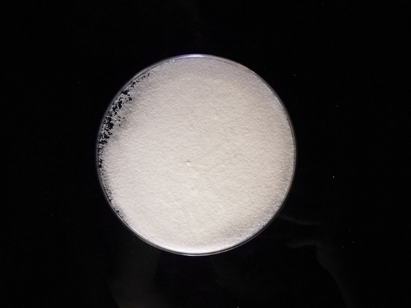 ��ҵԪ����